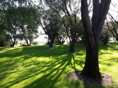 the Indian Ocean from our cabin